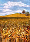 Cornfield, an earlier thread painting by Mitra McQuilton