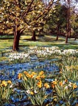 Daffodil Wood, an earlier thread painting by Mitra McQuilton