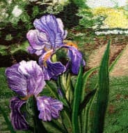 Iris, an earlier thread painting by Mitra McQuilton