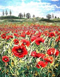 Poppy Field (a), an earlier thread painting by Mitra McQuilton