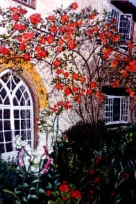 Climbing Rose, an earlier thread painting by Mitra McQuilton
