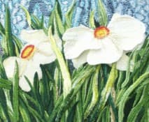 White Daffodil, an earlier thread painting by Mitra McQuilton
