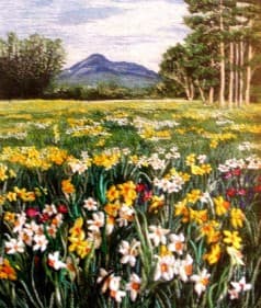 Daffodil Field, an earlier thread painting by Mitra McQuilton