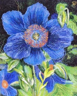 Poppies in Wiltshire, an earlier thread painting by Mitra McQuilton