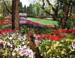 Rhododendron, an earlier thread painting by Mitra McQuilton