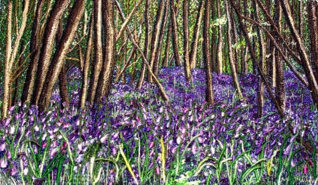 Bluebell Scene, an earlier thread painting by Mitra McQuilton