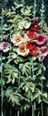 Hollyhocks, an earlier thread painting by Mitra McQuilton
