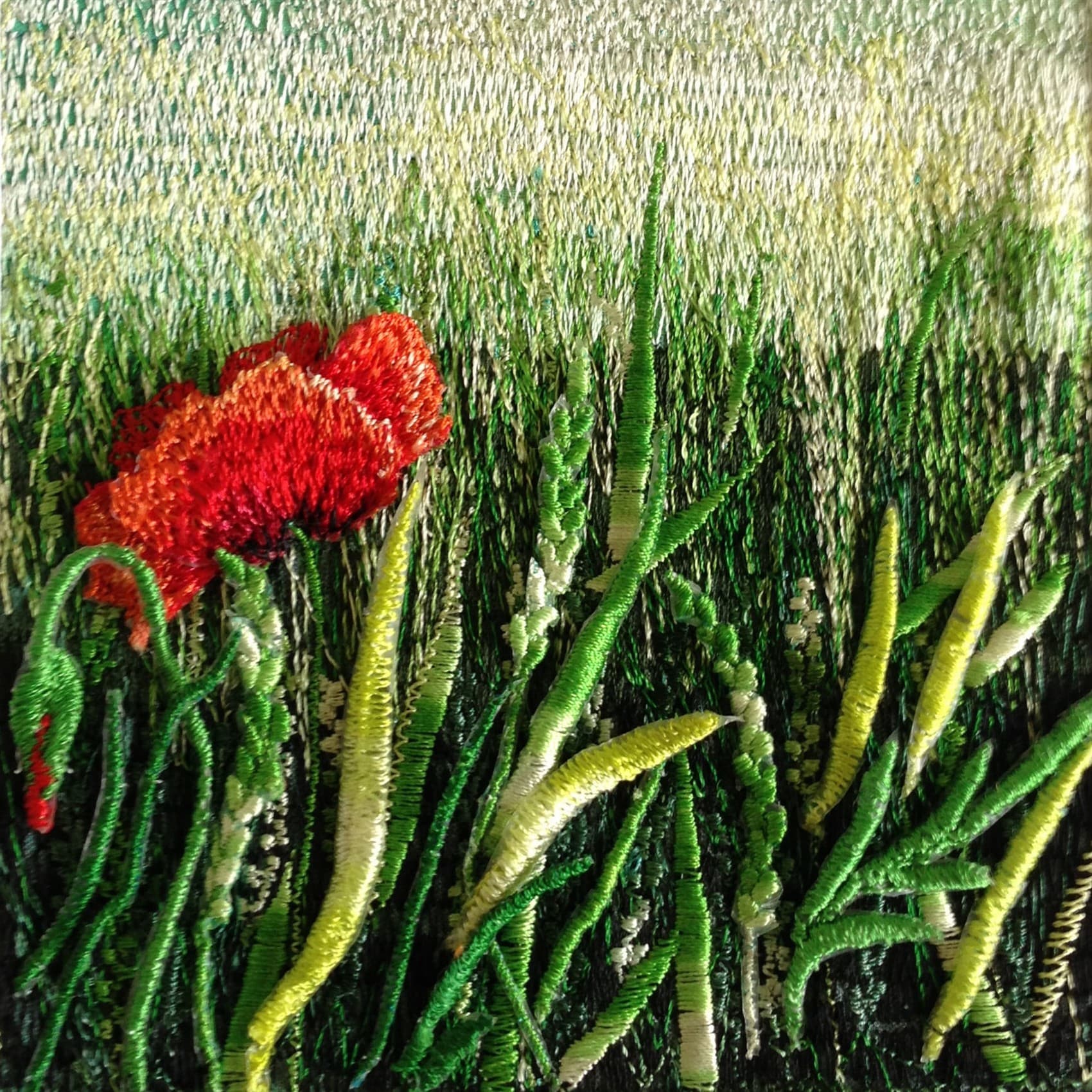 Lonely Poppy, a square greetings card