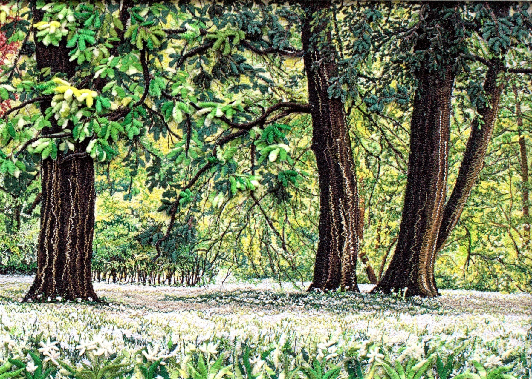 Ramsons Wood, a rectangular greetings card