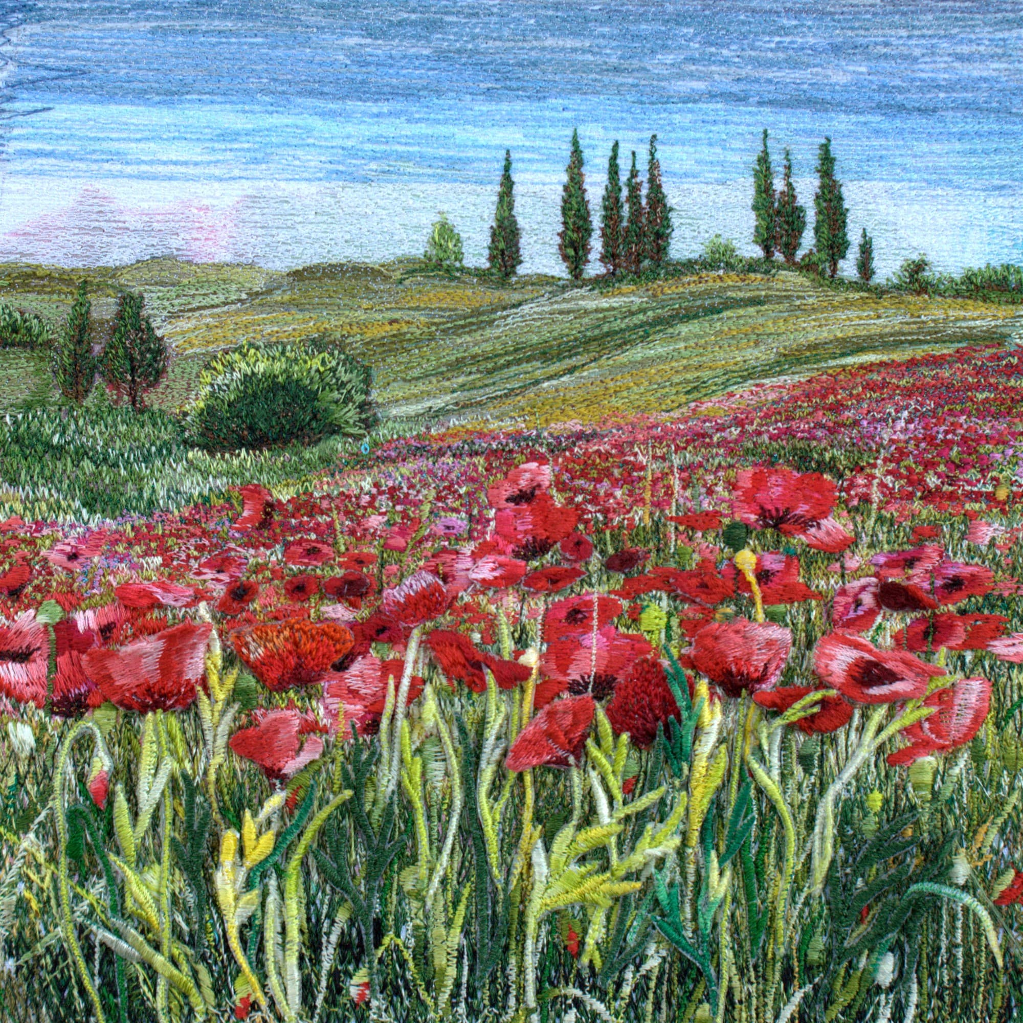 Poppy Field in Spain, a square greetings card